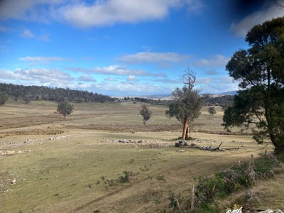 /international/au/1561-dennistoun-road-bothwell-tas-700367672/?lang=zh-cn