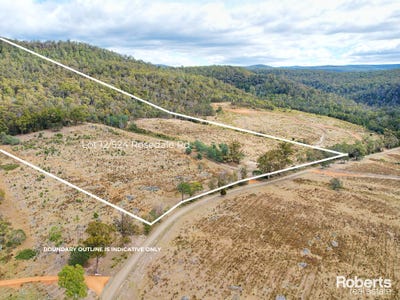 /international/au/lot-12-524-rosedale-road-bicheno-tas-204550928/