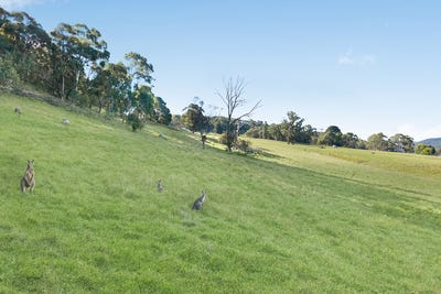 /international/au/111-magpie-hollow-road-lithgow-nsw-700403964/