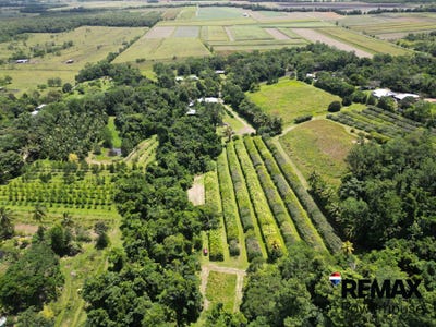 /international/au/545-east-feluga-road-east-feluga-qld-152628788/