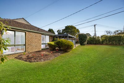 /international/au/18-winnifred-crescent-knoxfield-vic-148537812/