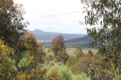 /international/au/lot-1-2-223-kain-road-braidwood-nsw-700230684/