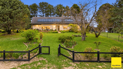 /international/au/3837-kings-highway-bungendore-nsw-152694016/
