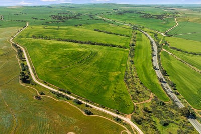 /international/au/lot-43-horrocks-highway-yacka-sa-700426972/