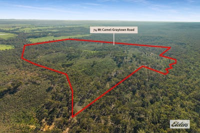 /international/au/74-mt-camel-graytown-road-graytown-vic-204564920/