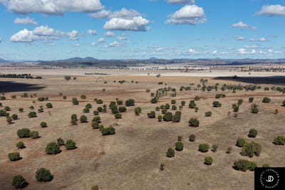 /international/au/409-bakers-lane-gunnedah-nsw-700408764/
