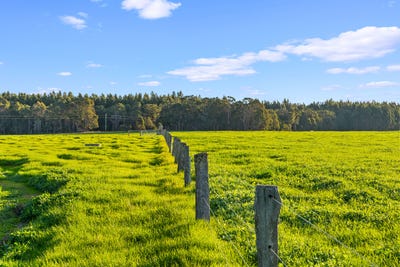 /international/au/58-sunshine-via-margaret-river-augusta-region-avenue-courtenay-wa-700412772/