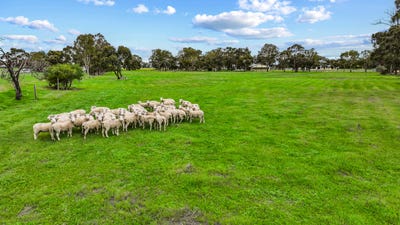 /international/au/49-old-padthaway-road-mundulla-sa-151780036/