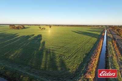/international/au/bunnaloo-road-moama-nsw-700416732/