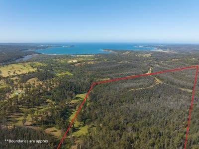 /international/au/lot-3-dp-624612-nullica-short-cut-rd-boydtown-via-eden-nsw-204497468/