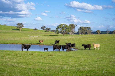 /international/au/680-fish-river-road-narrawa-via-crookwell-nsw-700424804/