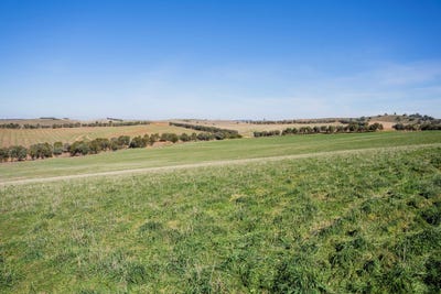 /international/au/136-oivi-lane-wantabadgery-nsw-700409856/