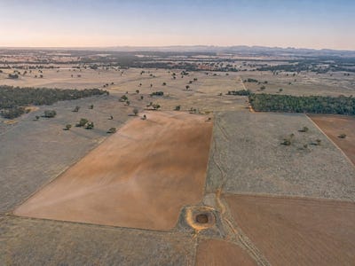 /international/au/caruba-176-uphills-lane-purlewaugh-nsw-700406056/