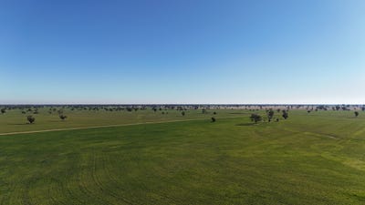/international/au/279-hotchkiss-road-baradine-nsw-700367460/?lang=en
