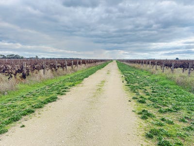 /international/au/322-giles-rd-coonawarra-sa-700409284/