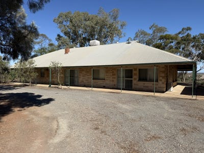 /international/au/271-nelshaby-road-napperby-sa-151087060/