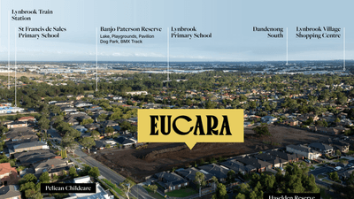 /international/au/lot-2-first-bloom-release-eucara-lynbrook-vic-204461668/