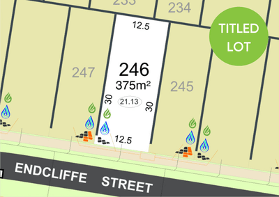 /international/au/lot-246-endcliffe-street-baldivis-wa-204547336/