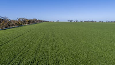/international/au/-rudds-allotment-81-ardrossan-road-maitland-sa-700427152/