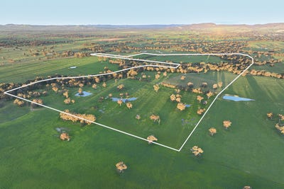 /international/au/547-culcairn-holbrook-road-holbrook-nsw-700426540/