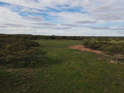 /international/au/pine-creek-road-parnaroo-sa-700408736/