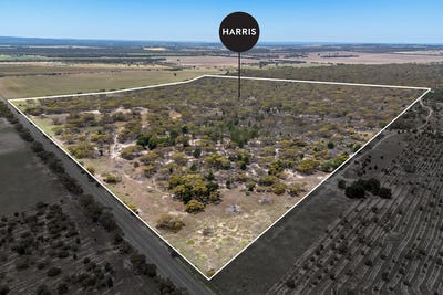 /international/au/lot-2-ferries-mcdonald-road-monarto-south-sa-700408576/