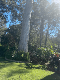 /international/au/lot-302-7-kooberry-macleay-island-qld-204482072/