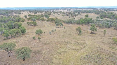 /international/au/631-glenelg-road-bundarra-nsw-700400772/