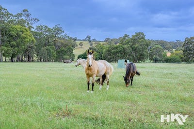 /international/au/291-morley-road-lower-chittering-wa-152688560/