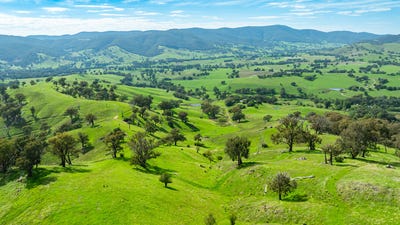 /international/au/sandy-creek-road-sandy-creek-vic-700405228/