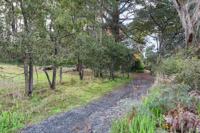 /international/au/lot-22-35-paratoo-road-stirling-sa-204545348/