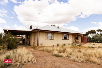 /international/au/2381-warrachuppin-road-westonia-wa-152668704/
