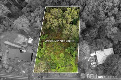 /international/au/10-woodhurst-grove-kalorama-vic-204550616/