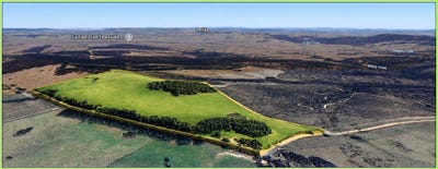 /international/au/625-mullins-creek-road-gurrundah-nsw-204683472/