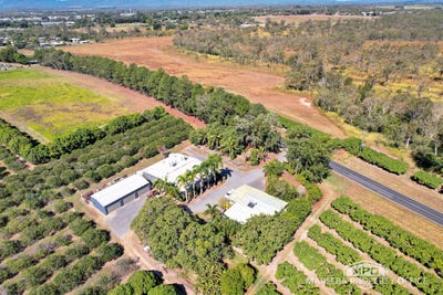 /international/au/526-mareeba-dimbulah-road-mareeba-qld-700409320/