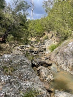 /international/au/224-blomfield-road-yarrowitch-nsw-700410584/