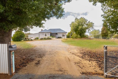 /international/au/31-north-street-harden-nsw-151161500/