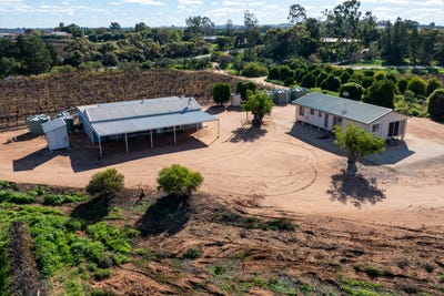 /international/au/89-winkie-road-glossop-sa-151464720/