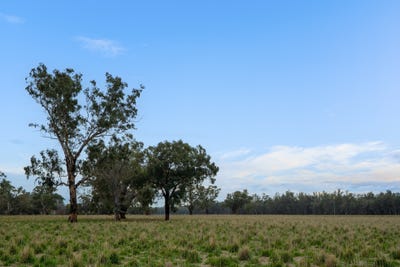/international/au/193-mcphillamys-lane-forbes-nsw-700369800/?lang=it