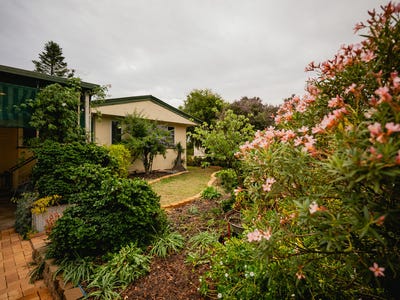 /international/au/23-downs-street-roma-qld-151194120/