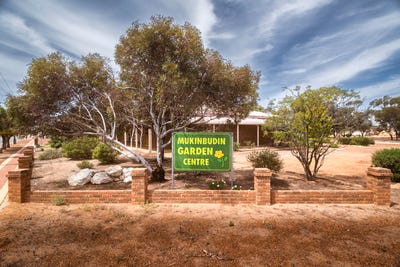 /international/au/53-shadbolt-street-mukinbudin-wa-152573432/