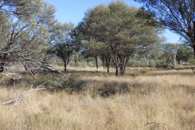 /international/au/9479-balonne-highway-cunnamulla-qld-700368684/?lang=zh-tw