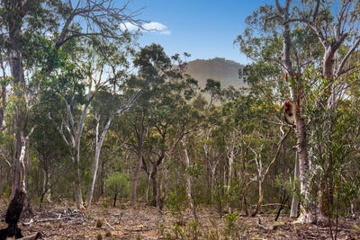 /international/au/lot-22-glen-davis-road-capertee-nsw-700409972/