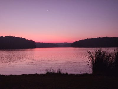 /international/au/8-honeysuckle-close-burrill-lake-nsw-148657840/?lang=zh-cn