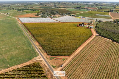 /international/au/lot-2-trioda-street-red-cliffs-vic-700408404/