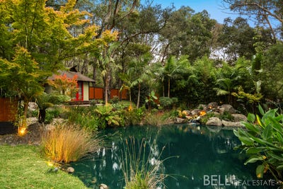 /international/au/14-mountain-crescent-montrose-vic-505115736/