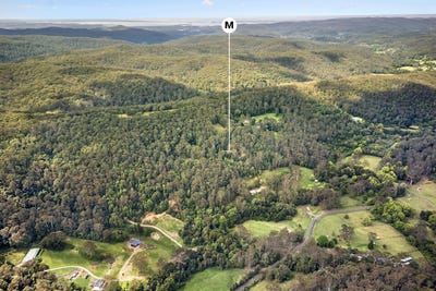 /international/au/20-moores-point-lane-palm-grove-nsw-204674012/