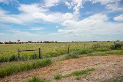 /international/au/section-1162-hicks-road-jervois-sa-204680592/