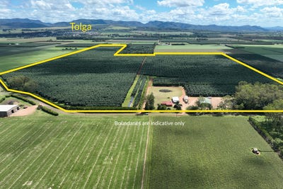 /international/au/39-yadjin-rd-tolga-qld-700405796/