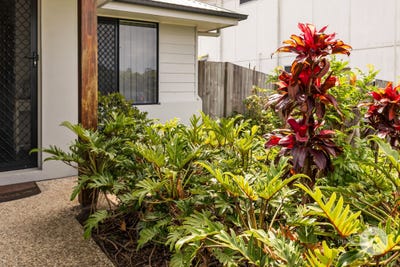 /international/au/1-2-14-ebb-drive-bellmere-qld-152454104/